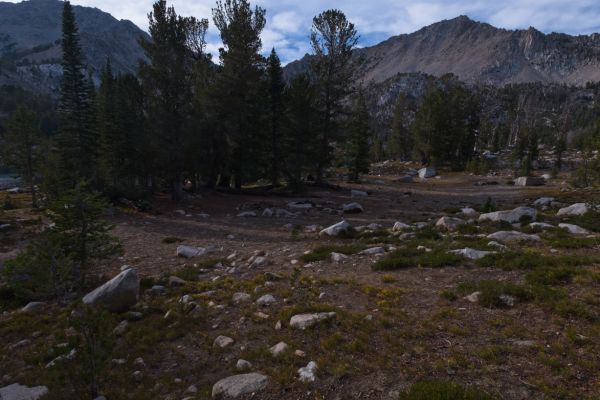 I have what must be the "primo" camp spot to myself.  I has been stocked with plenty of wood, in the event I catch some trout.  It is now almost 6 pm, so I have plenty of time to set my hang for the food, get the tent set up, pump water, fish, and make some dinner-- in the light!
