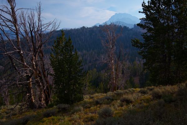 At 6 pm, still climbing, the familiar profile of Castle Peak comes into view to the south.
