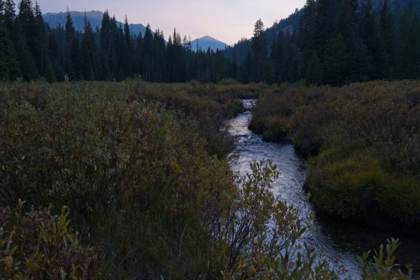 I reach Big Boulder Creek flowing down from the lake basin I entered 5 days ago.  I know I am close to Livingston Mill trail head.
