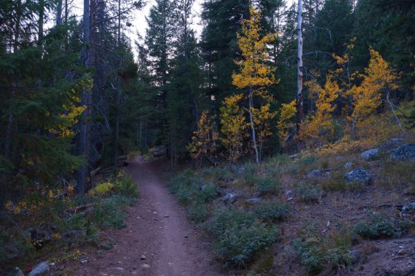 Some fall color in the fading light.  It is now 7:45 pm.  Half an hour later I arrive at the trail head.  There is just enough light to drive most of the 4 mile dirt road out to the highway.
