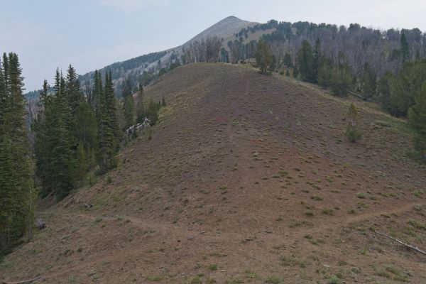 Blackman Peak above the saddle between it and peak 9655 to the WSW, reached by climbing cross country, NW through the burned area from Fourth of July Trailhead.  The trail always seems to appear at points of constriction, where the choices become fewer.
