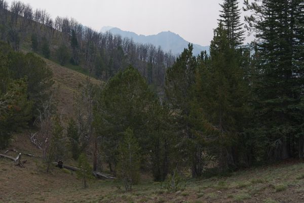 Looking east, southeast toward Fourth of July Lake, haze resulting from smoke blown in from fires in neighboring Oregon and California is very apparent.  On the ridge to the North, Castle Peak is barely visible through the haze.
