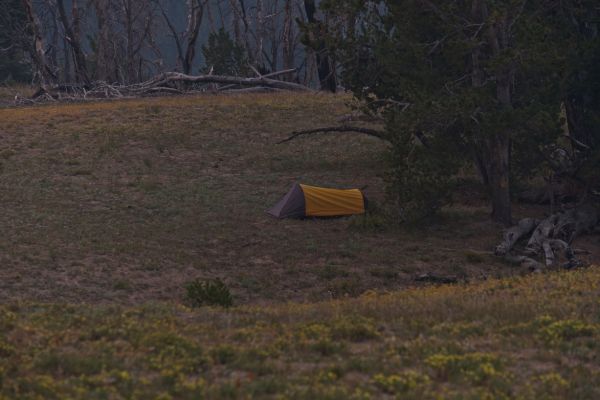 From the previous saddle, I thought I saw the dust from two people heading up toward Blackman, rising from the hillside to the east; probably the occupants of this camp.  Nice place to camp if you don’t mind carrying water a long way!  I didn’t see water until close to Warm Springs Creek.
