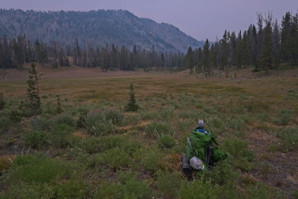 After an initial steep descent from the mouth of Strawberry Basin on the north, the terrain below levels out into some nice meadows before steeping again.
