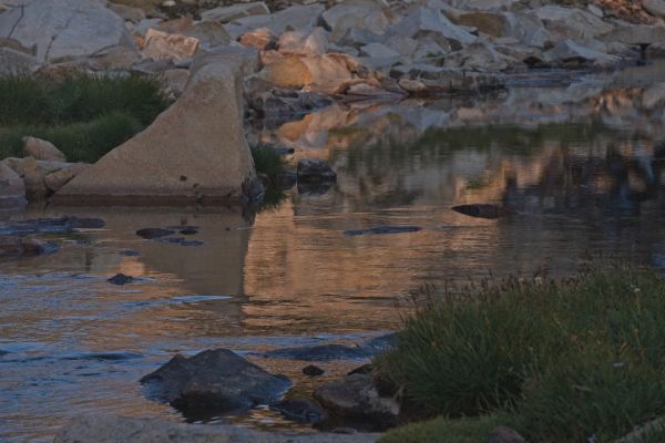 Morning light, reflections; inlet, Cove Lake.
