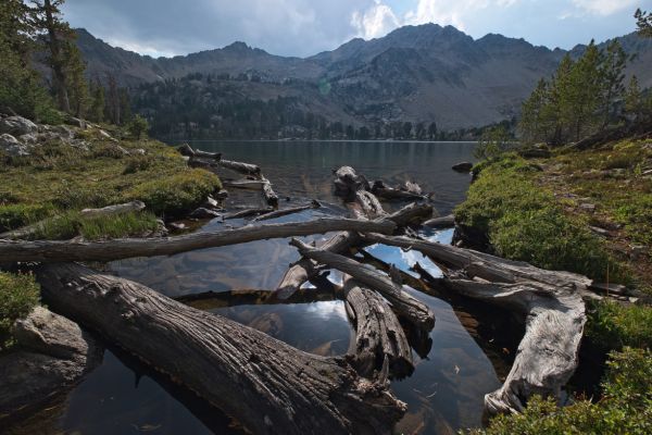 Logs at inlet, northeast end of Hummock Lake.
