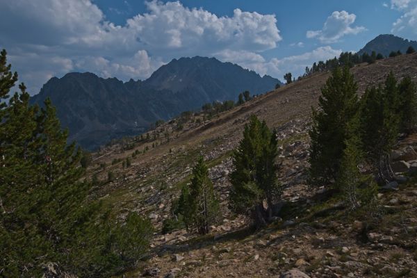 Castle Peak, and the Serrate Ridge rise in the distance, south from Windy Devil.
