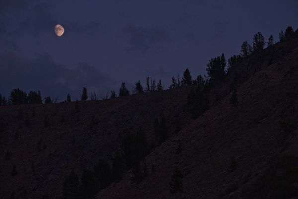 Climbing the steep trail to the ridge on the west side of Ants Basin, the moon appears from behind the clouds.  I hope there are no werewolves about.
