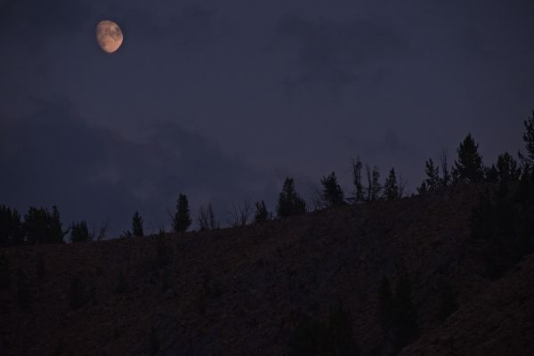 I can hike for another 45 minutes by moonlight before resorting to the headlamp.
