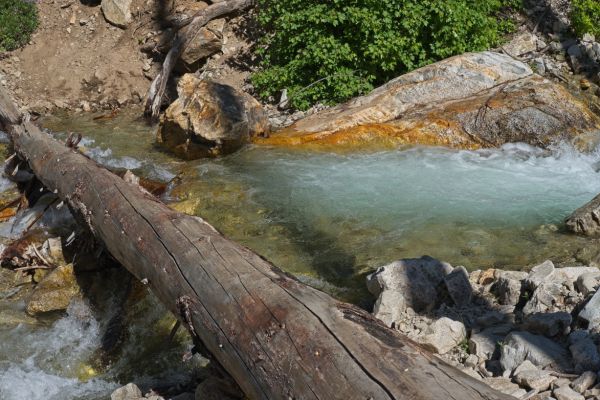 One of the easier log crossings over Trail Creek, well before arriving at Trail Lakes.
