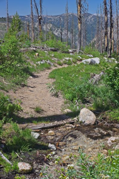 Looking back, SW, toward Trail Lakes.
