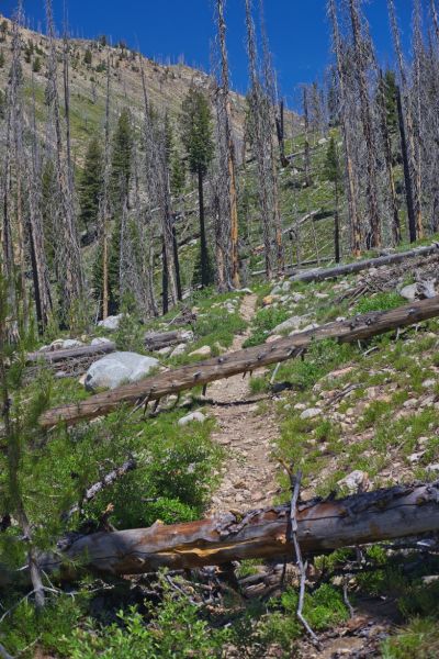 To the N, the turnoff to McGown Lakes to the E is near the low point on the skyline.
