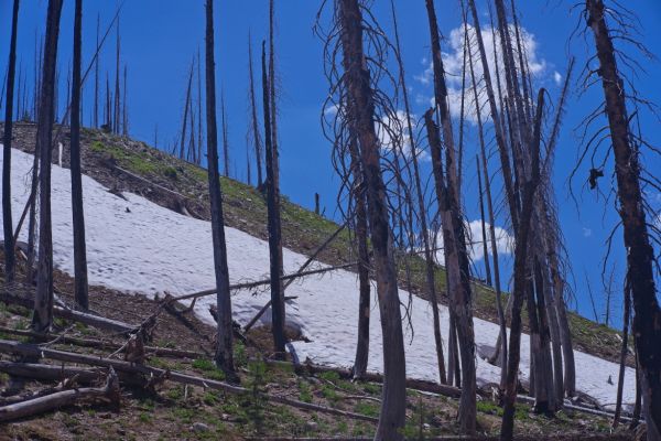 Climbing toward McGown Lakes, patches of snow are encountered on the north facing slopes.
