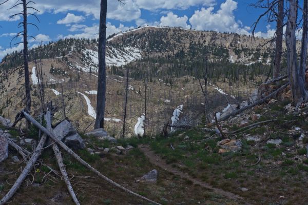 Another view N, approaching McGown Lakes.
