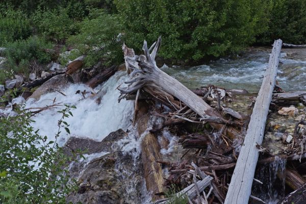 This shows a possible ford on frame right, which the long log on the right points to.  It also shows the deadly consequences of being swept 20 feet below, should one lose his footing in the deep, swift water.  Based on my kayaking experience, this was a risk I was not willing to take.  This is a few hundred feet upstream from where I crossed.
