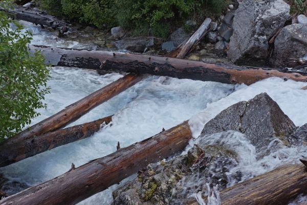 All photos were taken from the S side of creek.  I crossed here (between the other alternatives) last year.  The water is a foot higher this year.  Starting on the log that completely crosses the creek, angling down to the lower left of the frame, one can cross over the big log on top, continue moving out and reach down with the other foot to the lower log (over which the current is flowing).  Continue moving across using both logs.  This year the water is too high to go this route safely.
