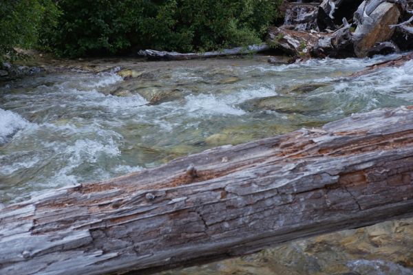 Again, what appears to be the conventional ford.  Difficult to tell just how deep it is.  The nasty log pileup at the brink of the pour-over is just left of frame (see next image).
