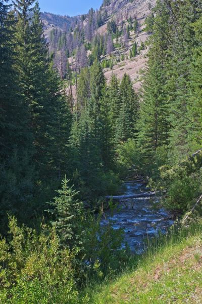 Along Warm Springs Creek, upstream from the entrance to the steep-walled canyon which leads north to Iron Basin.  That may be the entrance just below the skyline.
