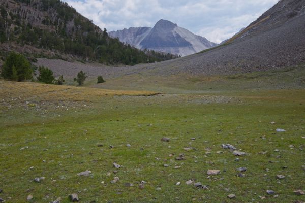 The trail appears when the sides of the basin constrict the choice of path.  Finally heading downhill, toward some steep switchbacks.  Someone I asked to do this trip with me years ago complained, “too much up and down!”.  Isn’t that what the mountains are about?
