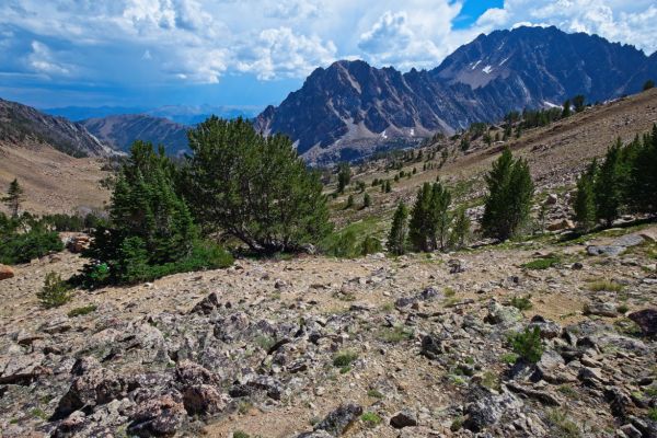 Familiar Castle Peak viewed from the vicinity of Windy Devil.  The Serrate Ridge descends from Castle Peak on the right to the upper middle of the frame.  I'm aware of the approaching thundershowers in the background.
