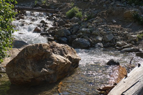 Just upstream from the crossing, I saw a couple gals to the left of the log, who had managed to completely lose the trail.  This happens fairly often at stream crossings.  They were delighted that I suggested a route to get them back on track.
