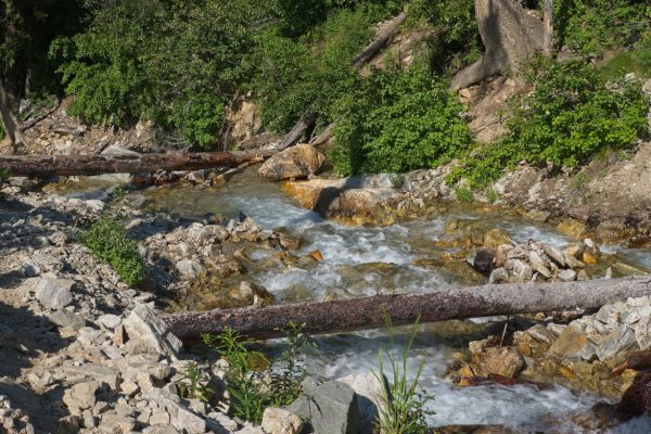 The volume of water in Trail Creek suggests to me that the runnoff from snomelt peaked a few weeks earlier, lessening my anxiety about crossing the North Fork of Baron Creek.

