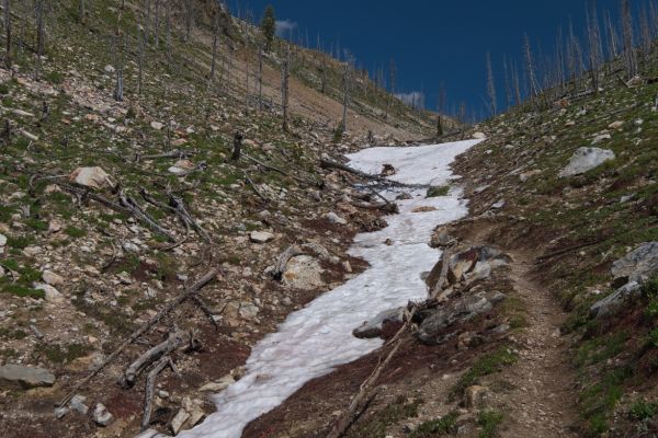 The first lingering snow on the trail at 8000 feet, approaching the turnoff for McGown Lakes to the east.  I can remember approaching this junction from the north, roughly fifteen years ago, while a fire was burning in the area I'm hiking through now.
