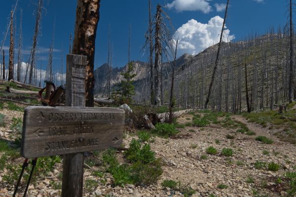 I believe this is a new signpost.  The previous sign was bolted to a tree that had fallen, as photographed in the gallery dated one year and one day earlier.  Cumulus continues to build over the Stanley Valley.
