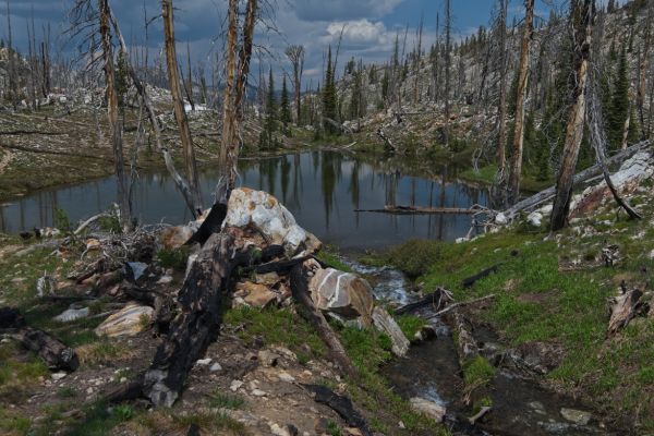 Another of the McGown Lakes north of the trail at 8470 feet.  Several years back, someone abandoned several items in this area that proved too burdensome, including a holster for bear spray, a case for a fly rod, an 8 oz isobutane canister with 1/4 of the fuel remaining, two empty small nylon stuff sacks, and a can of Jenny Lake Lager!  I would consider myself lucky to see a bear back here.  This year, someone left a nice article of clothing on that last signpost.  I was hoping my pack would get lighter!
