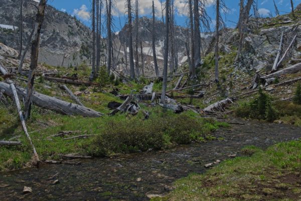 This stream marks the short climb to the highest of the McGown Lakes.
