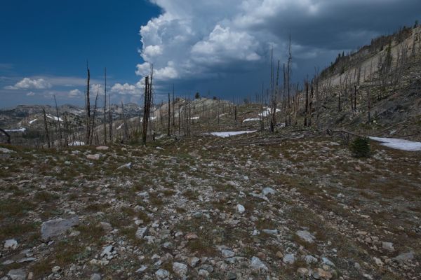 Looking back to the west toward Grandjean, the developing thunderstorm is looking ominous.  I hope to be heading down the North Fork of Baron Creek before any showers.
