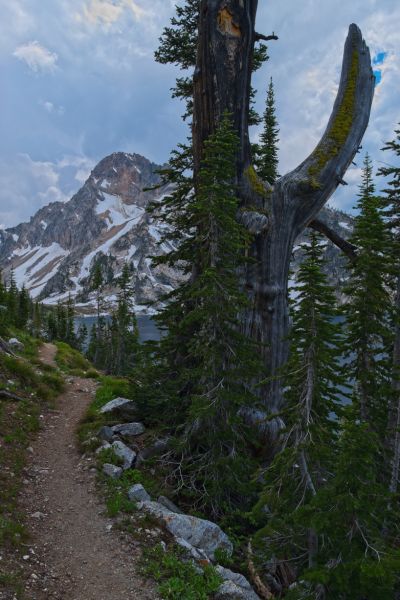 I wonder what caused such a thick branch to be broken from this pine.  If it were lightening, one would expect the tree to be blackened from fire.  Perhaps an avalanche, or wind when the branch was heavily weighted with snow.  Just ahead I will refill water, and mix a much needed electrolytic replacement drink.  Geographically, this is the midpoint of the hike.  But then, it is all downhill now!
