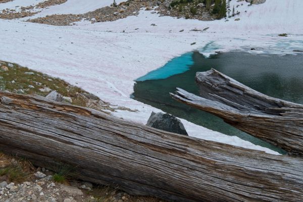 Southern end of  tarn (8489 feet) at the south end of Sawtooth Lake; there is less snow here than last year at this same time.  It's cooled down considerably, and the shade is welcome relief.
