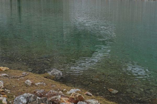 Patterns on the water; Lake (elevation 8271 feet), southeast of Sawtooth Lake.
