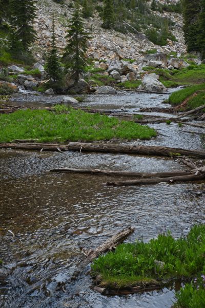 Four tributaries constitute the headwaters of the North Fork of Baron Creek.  Of the two flowing from the north, this is the more westerly.  The other two flow from the east and southeast.
