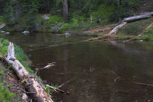 Looking downstream from the previous photo, the water flows serenely, in contrast to the steep gradient just downstream.
