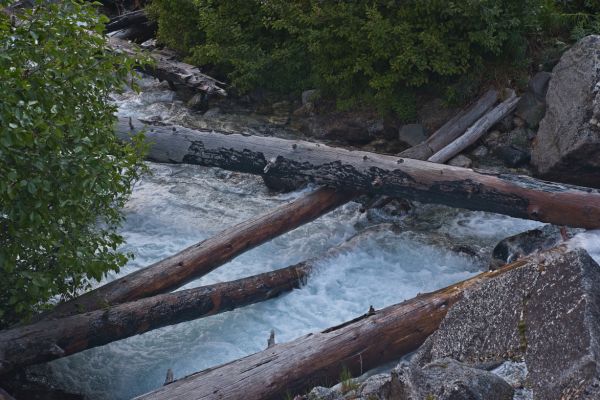 The dreaded crossing!  I used the log 90 degrees to the current, and up, out of the water.  After surmounting the big log that crosses over it, one can clearly see that the log I crossed on becomes wet.  Crouching on all fours, one can reach the lower log (partially in the stream) stabilizing balance with the left foot.  The lower log is extremely slippery, so I used it only to help balance.  Moving further across, the lower log is less slippery.  It's always a relief to get to this side safely.
