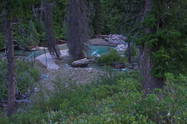 Baron Creek, deceptively inviting with deep, blue-green pools, shortly before it empties into the South Fork of the Payette .  As Tom Lopez (Idaho, a Climbing Guide) states, “Crossing Baron Creek in the spring can pose a very serious risk."   Fortunately, I didn’t have to cross it.
