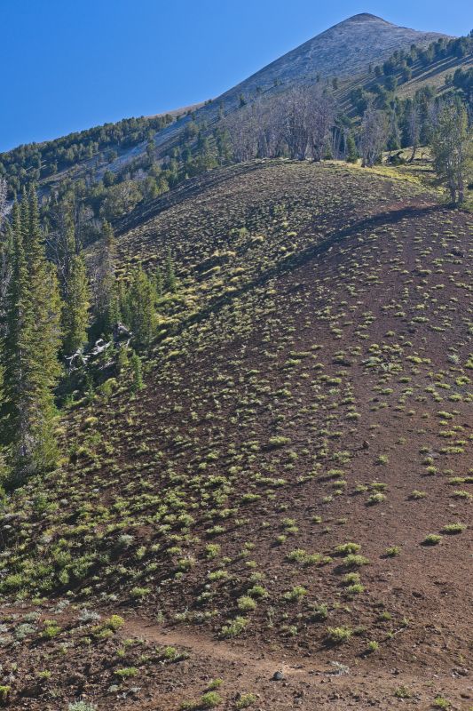 The cross-country route climbs north, north west from the Fourth of July Creek trail head.  After a 40 minute climb, one reaches this saddle southwest of Blackman Peak.
