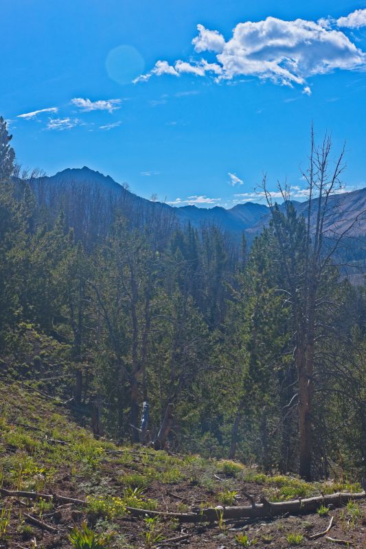 Looking east toward Fourth of July Lake.
