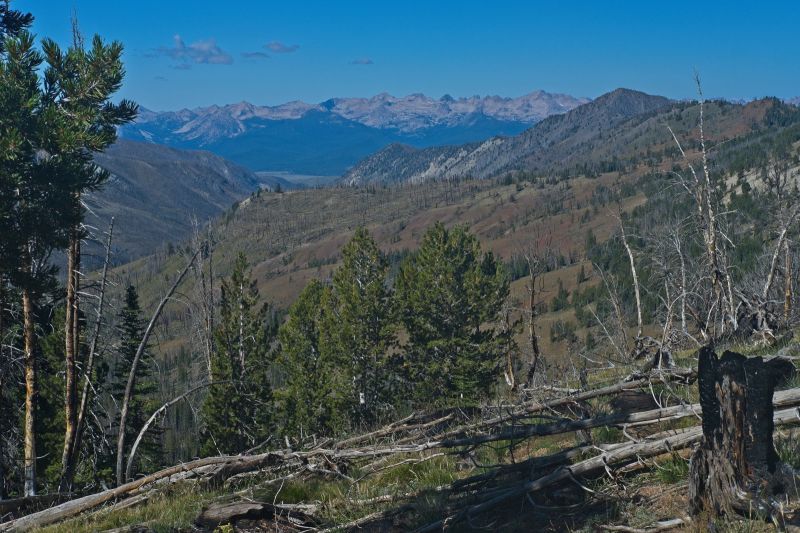 The Sawtooth range on the horizon, across the Sawtooth Valley, a bit further north.
