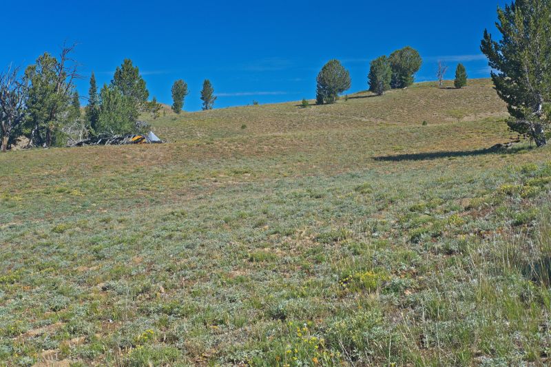 This is the second time I have come across tents on the plateau above Strawberry Basin to the north.  The views are nice, but there is no water here.
