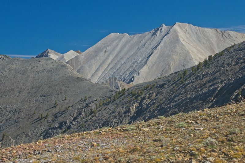 The west face of D. O. Lee Peak is bisected by an east-west ridge with D. O. Lee Peak (11342) on the east (frame right) and WCP-8 (10557') .9 mile west (left) on the ridge (center of frame).  The high saddle between D. O. Lee Peak and W. C. P. 9 which leads to Big Boulder Lakes is hidden from view.  This same feature is visible from the west side of Toxaway Lake.
