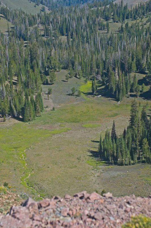 Looking down into Strawberry Basin.  It is easier to leave the rocky trail, and walk in the meadow as soon as possible.  My first navigational error today was to continue too far down the rocky pack trail.
