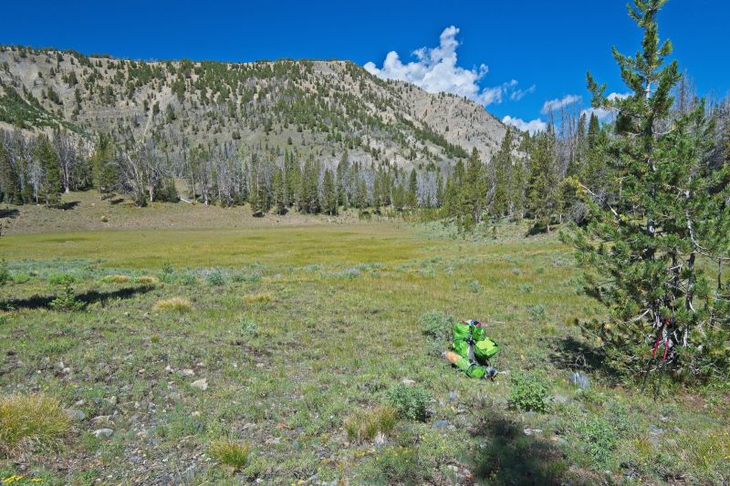 Just ahead, the gradient becomes much steeper, and eventually leads to Warm Springs Creek.
