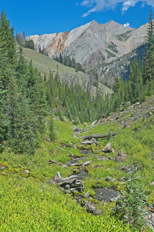 Hiking gets more difficult as one nears Warm Springs Creek.  This is the third time I have descended through here.  Following this drainage for the most of the descent may be the easier route.  The red stain on the west facing slope is an indicator that the entrance to Iron Basin is further northwest.
