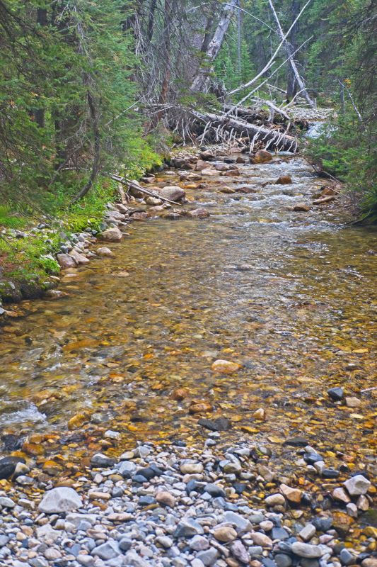 Twenty-five minutes of working through fallen timber leads to the crossing.  There is a good trail on the east side.  It couldn't be more welcome!
