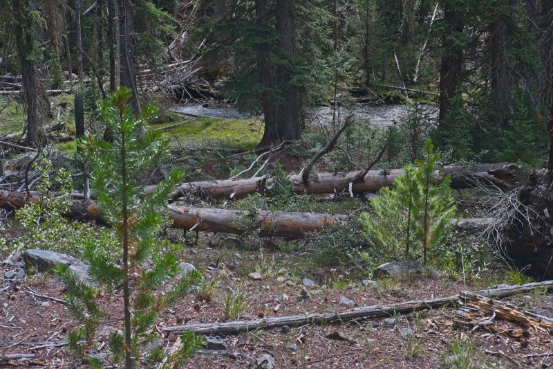 Pleasant hiking offers glimpses of Warm Springs Creek.
