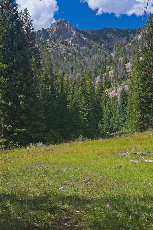 Half an hour later, I'm nearing the entrance to Iron Basin.  I'm watching very carefully, as last year, I went too far downstream to the west, missing the entrance entirely.  In late August, this is the only place water can be seen coming from the east entering Warm Springs Creek.
