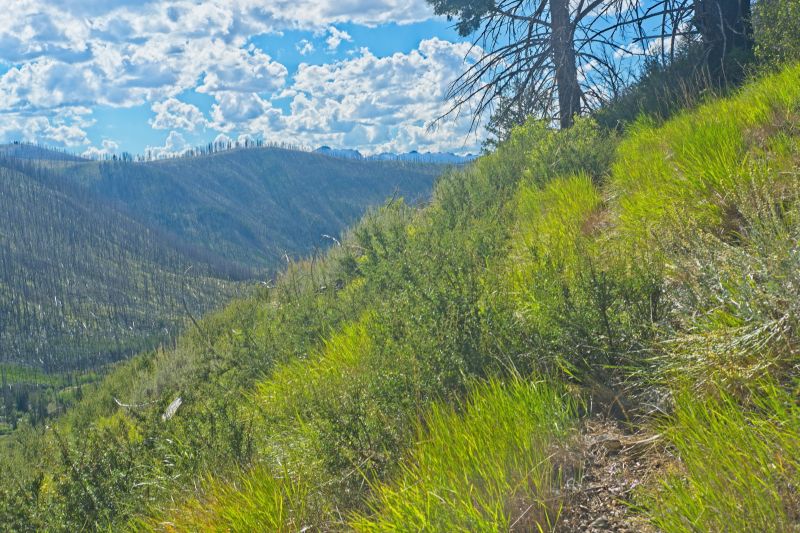 The trail stays on the east side of the drainage, and reaches a plateau.
